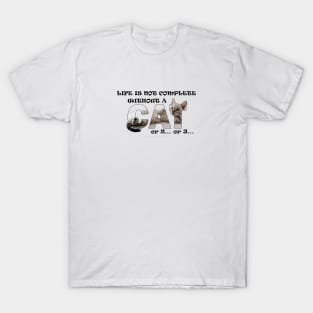 Life is not complete without a cat or 2 or 3 - silver tabby cat oil painting word art T-Shirt